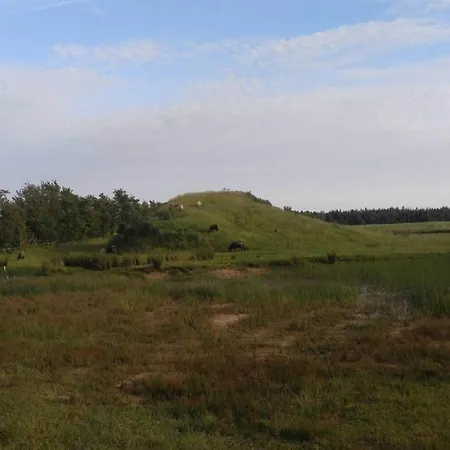 4 Person In 別荘 *