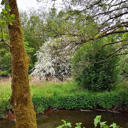 4 Person In 別荘 Ansager