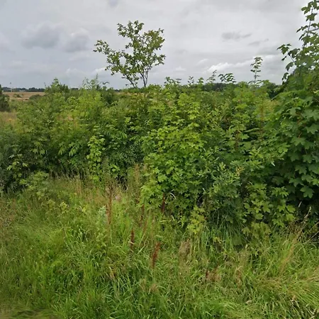 4 Person In * Ansager